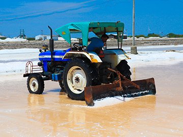 Industrial Salt